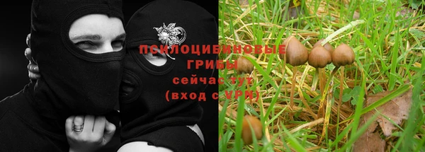 PSILOCYBIN Алексин