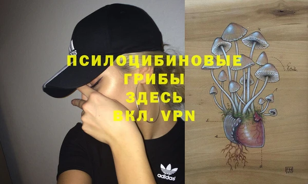 PSILOCYBIN Алексин