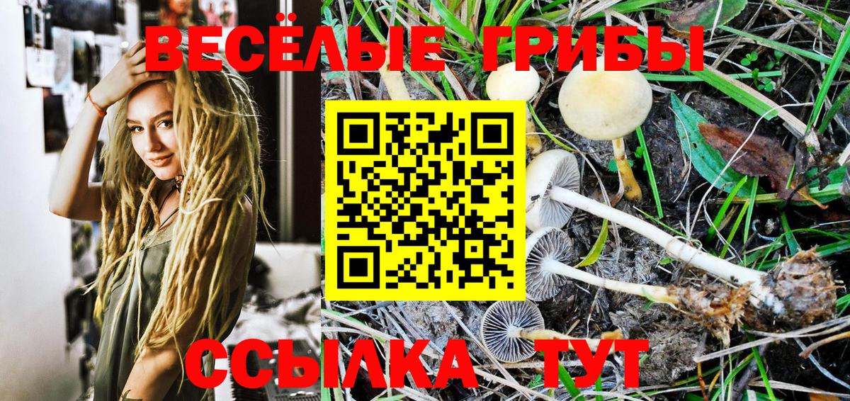 Галлюциногенные грибы GOLDEN TEACHER  как найти наркотики  Благодарный  Вход с VPN 