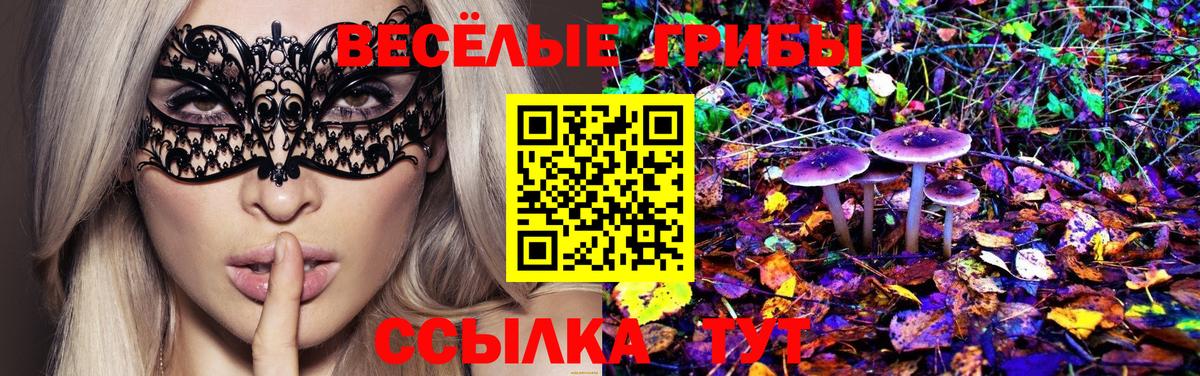 Галлюциногенные грибы Magic Shrooms Благодарный